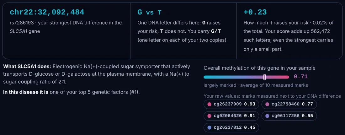 Gene card for SLC5A1: chr22:32,092,484, G vs T, +0.23, with its function and methylation