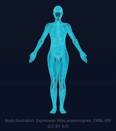 Body map of tissues used by the age clock